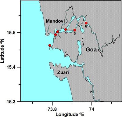 Variations of Colored Dissolved Organic Matter in the Mandovi Estuary, Goa, During Spring Inter-Monsoon: A Comparison With COVID-19 Outbreak Imposed Lockdown Period